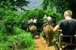 Elephant_Ride-Thailand