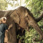 A Guide to Friendly Elephant Experiences in Amazing Thailand