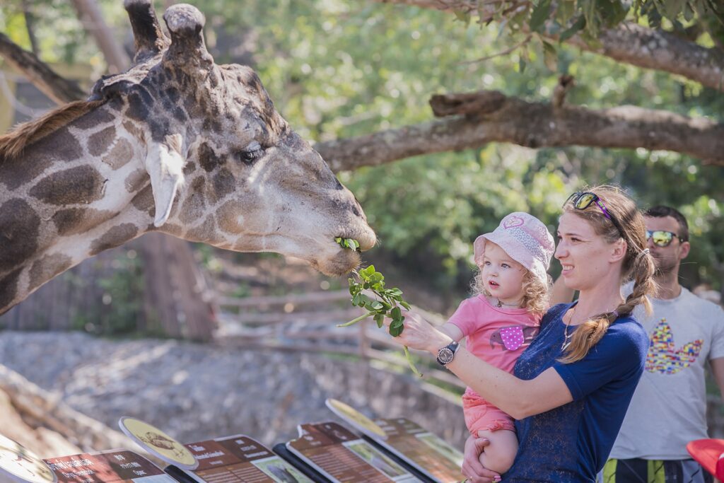 Family at Khao Kheow Open Zoo
