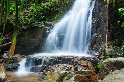 Ton Sai Waterfall in Khao Phra Thaeo National Park | Shutterstock