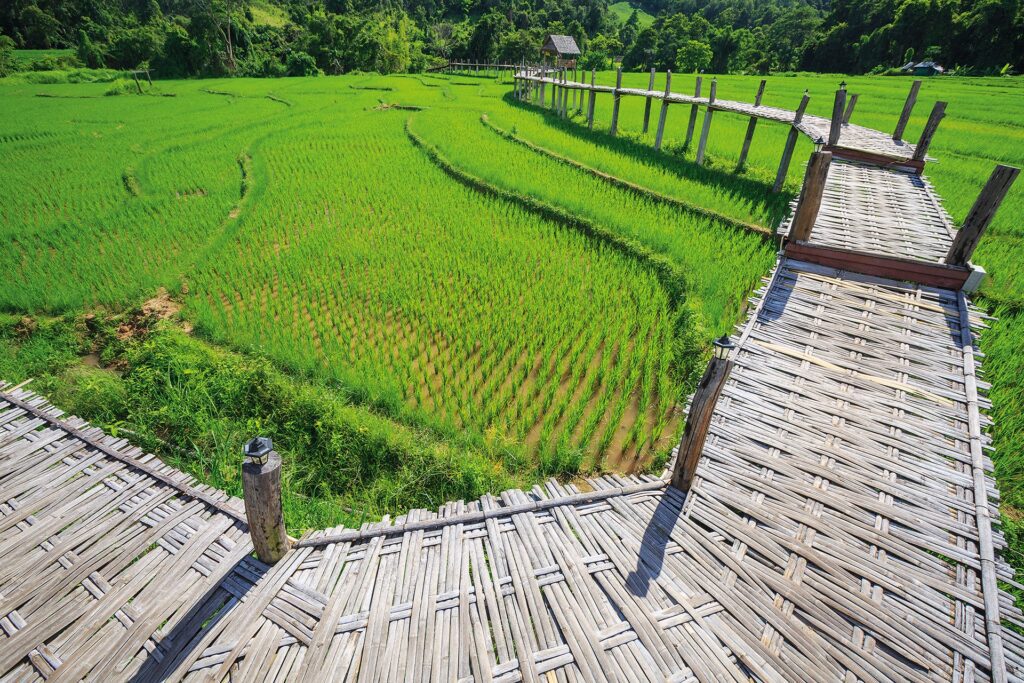 Kho Ku So Wooden Bridge at Phaem Bok Village