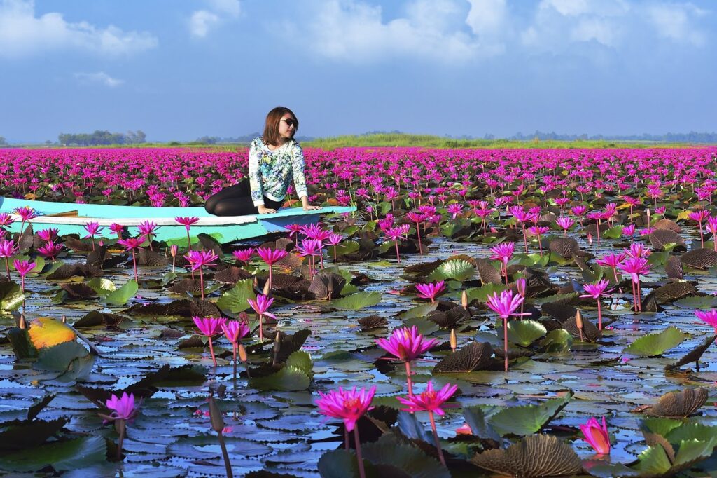 Talay Bua Daeng (Red Lotus Sea)