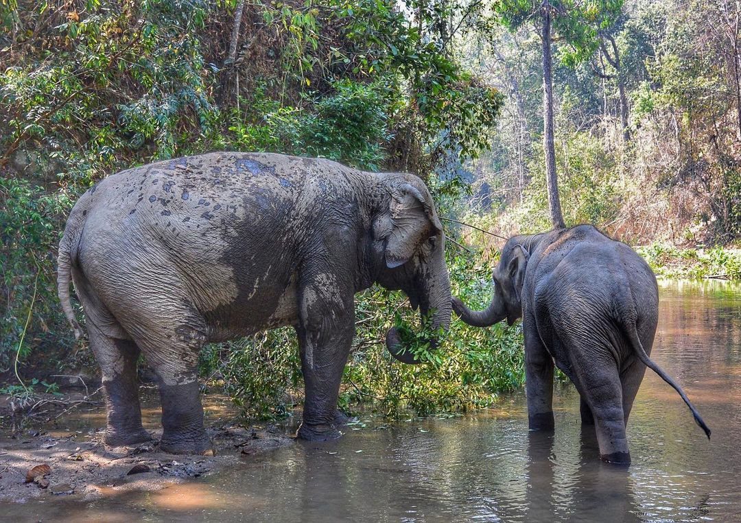 10 Amazing Earth Day Adventures in Thailand - Thailand Insider