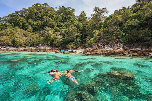 Snorkel Diving at Ko Lipe