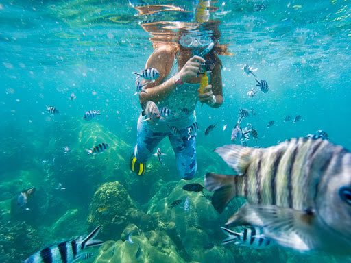 Snorkeling in Ko Tao
