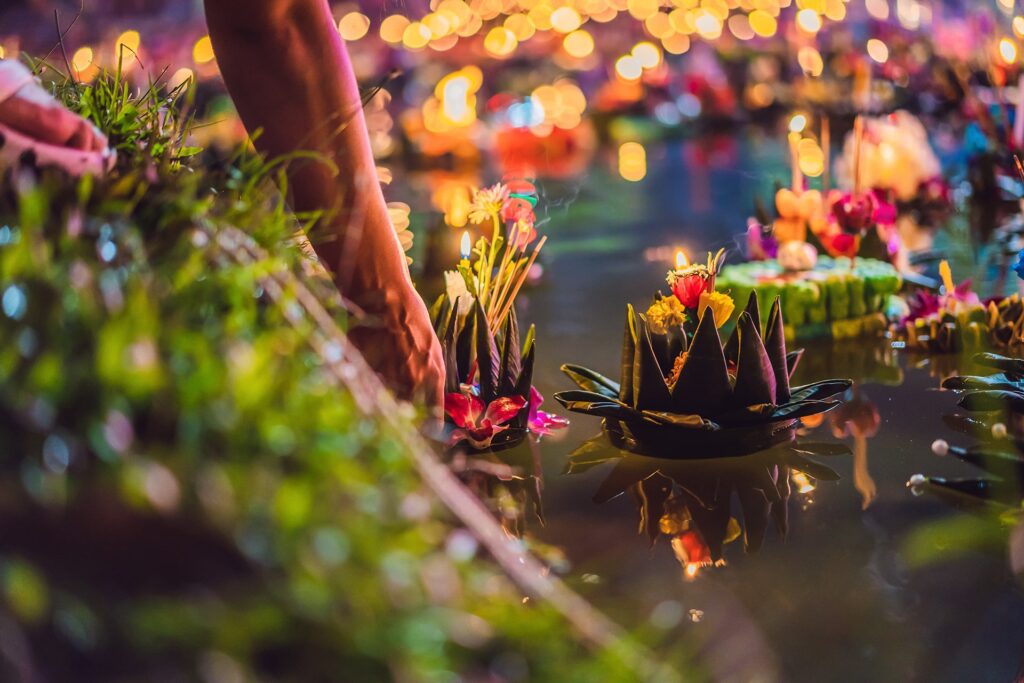 image of water lily