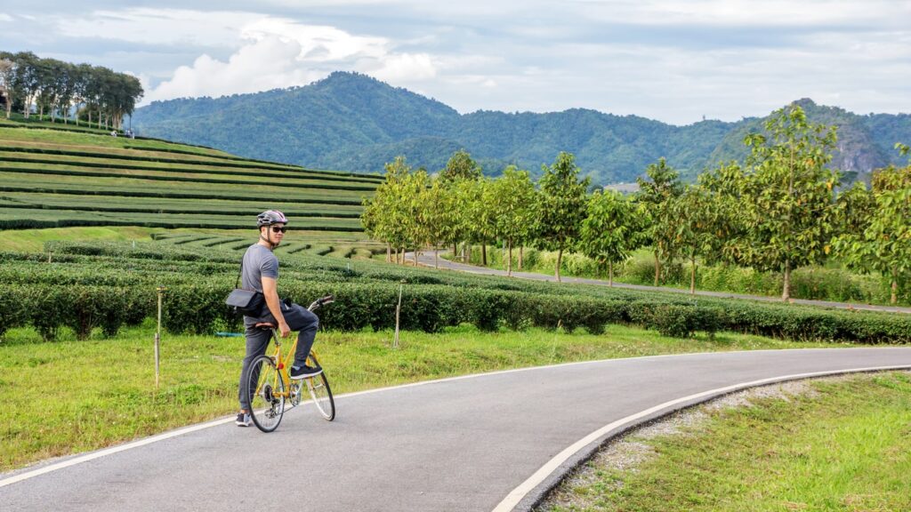 Cyclist at Singha Park in Chiang Rai | Thailand Insider
